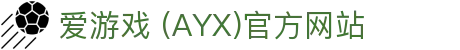 AYX爱游戏官方入口站